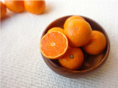 【３品種まとめ買い】「春妃柑（はるひかん）お試し品　約２ｋｇ、「石甘太（いしあまた）」お試し品　約２.２５ｋｇ、「蜜之望（みつののぞみ）」 お試し品　約２ｋｇの３箱セット