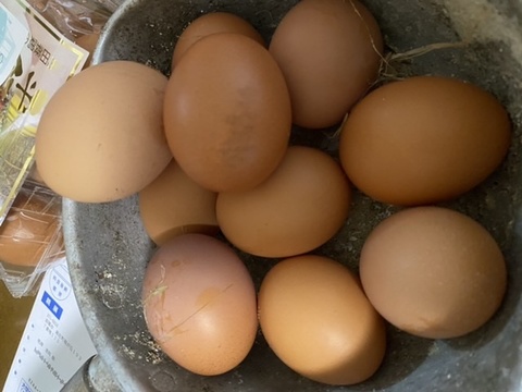 かば卵平飼い卵‼️1パック6個入り