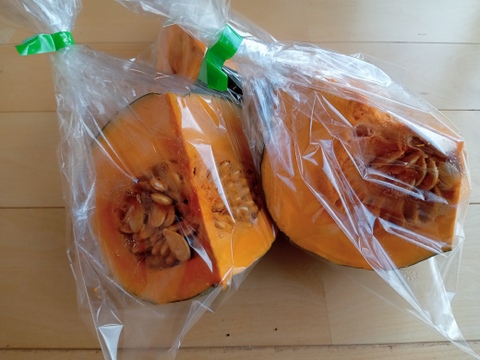【ホックホク】自然栽培かぼちゃ（４～5玉）