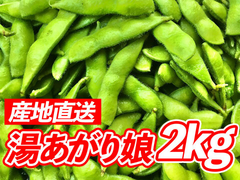 風味豊かな枝豆！宮崎県産『湯あがり娘2kg』200g×10袋
