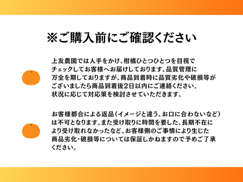 柑橘を初めてご購入の方向け！産地直送柑橘セット