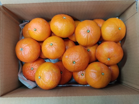 紅ばえ　家庭用Ａ・Ｂミックス　4Ｋ