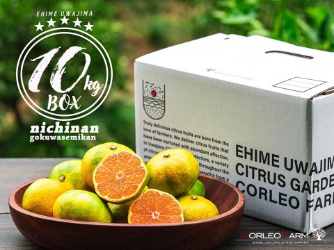 【EHIME UWAJIMA】秋の訪れを告げる爽やか極早生みかん<日南一号>！Aセレクション（家庭用良品）10kgBOX（正味10kg)