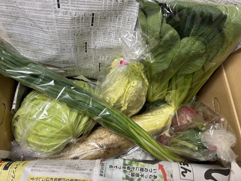 【おまかせ】オーガニック野菜セット(6品)