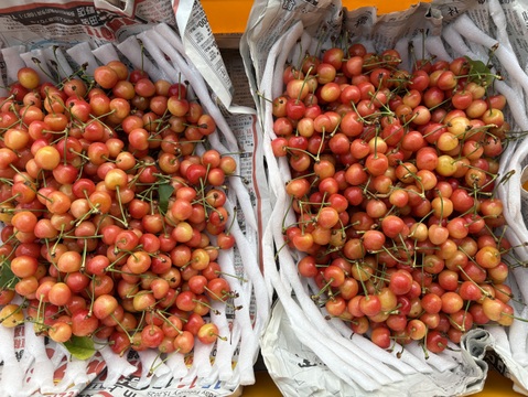 すぐ発送！本州限定【クール便】家庭用 さくらんぼ 2kg(1kg2箱