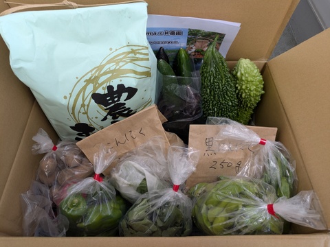 お米５kgとにんにく（白黒）＆季節野菜セット（旬枝豆）