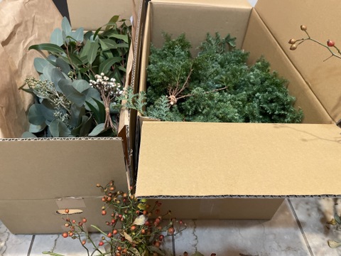 ユーカリ農家”オススメ”のフレッシュユーカリ3品種