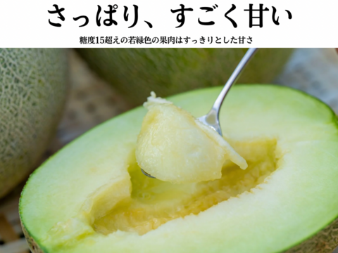 【夏ギフト】さわやかジューシーな食感。鳥取固有品種のペルルメロン 2kg3玉