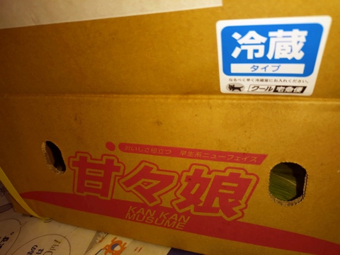 予約開始いたします！！【2L(400g以上)6本入り】とうもろこし農家が本気で作った甘々娘！！【父の日ギフト】【朝どれ】