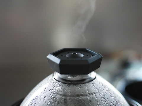 【令和7年新米】新潟県保内産幻のコシヒカリ 4.8kg