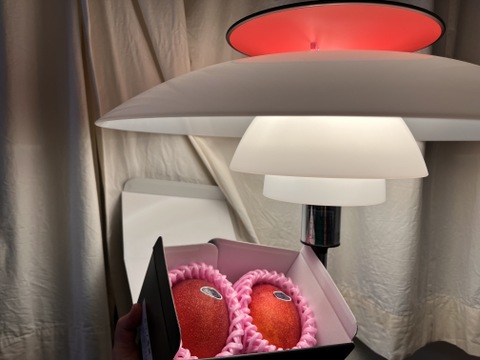 果汁たっぷり！糖度15度超えの太陽マンゴー(2Lサイズ2玉セットで720g〜898g)