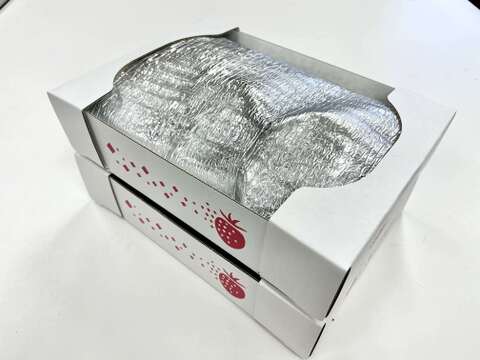 冷凍いちご（紅ほっぺ）1.6kg（800g×2袋）