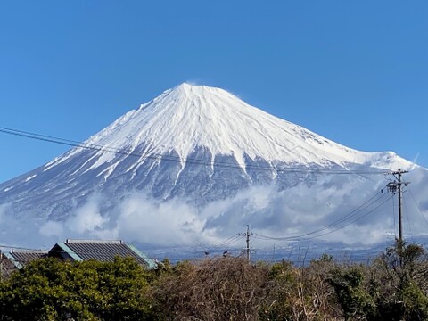 農薬・化学肥料不使用！甘さしっかりダークパープル人参3kg！