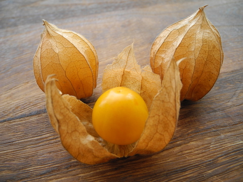 【数量・期間限定！】「食べる宝石」ほおずき500g（およそ45粒前後）