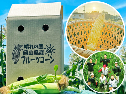 【朝採れ！早期予約で1本おまけ】晴れの国岡山県産！メロンより甘い！朝採りフルーツコーン10本+おまけ1本の11本セット【6月下旬より発送予定】