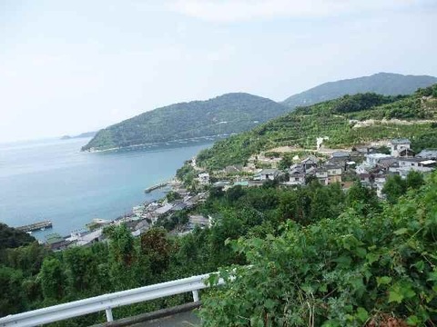 とにかく甘い！ひめまる石地みかん（小玉３Kg）