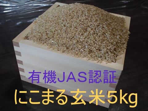有機JAS認証【農薬不使用「にこまる」玄米5kg】コシヒカリを超えた美味しさ 2025年兵庫県産「タガメの里・自然米」