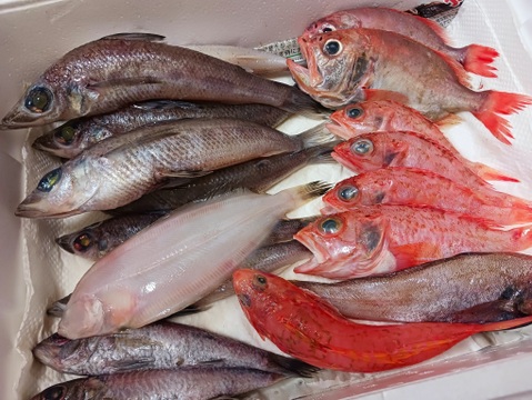 【魚ガチャ】欲張って2袋！何が入っているかわからない［未利用魚］おかず