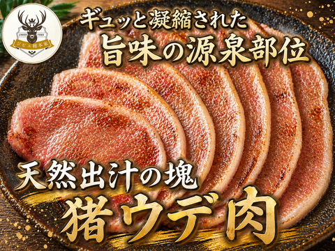 【ホームパーティーの伝説に】これどこの肉?!と歓声が上がる主役の座🍖猪ウデ肉🍖小田原貴族ブランド大容量約パッケージ約400g