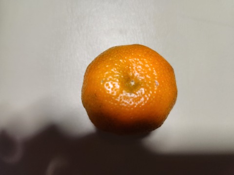 静岡県産　シークヮーサー　1kg