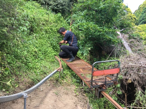 ＜訳あり＞味は一級品！6月発送 初夏の味覚農家直送！房州ブランド房州びわ１キロ袋びわ