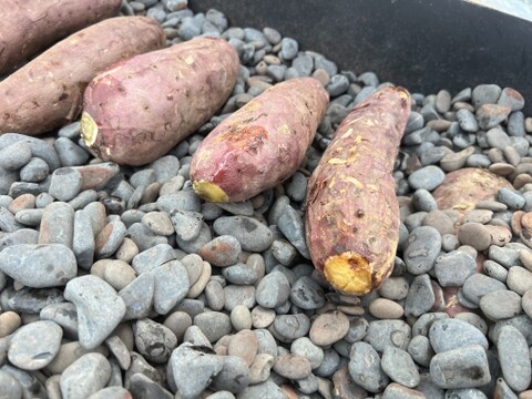 【無添加・ねっとり甘い】冷やし焼き芋｜☆有機JAS認証☆