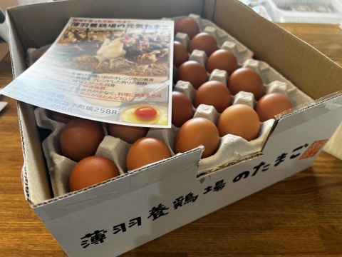 ちょっとだけ小さめの酵母・平飼いたまご100個（元気たまご）