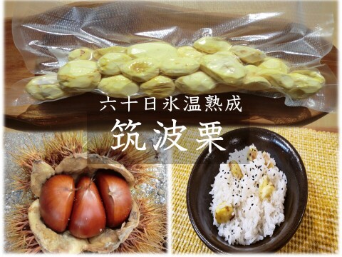 【筑波栗６０日氷温熟成】糖度2倍以上の筑波栗　農薬不使用 むき栗真空パック冷凍
