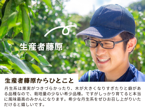 蔵出しみかん丹生系10kg｜和歌山県海南市下津町産。晩生みかんの最高級品種