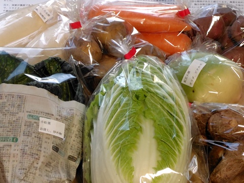 ♪人気商品♪『農薬、化学肥料不使用』【2~3人前】
季節の野菜Sセット（8-9品）「群馬県高崎産」
