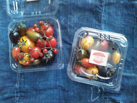 世界のトマト詰め合わせ（おまかせ10種類以上）