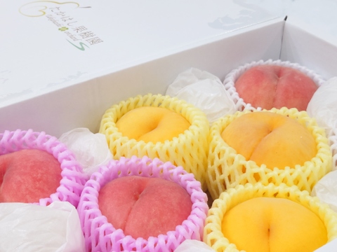 【食べ比べ】桃のおまかせ詰め合わせ約2.5kg【贈答用】
