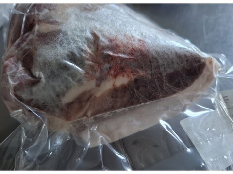 ジビエ　イノシシ　モモ　ブロック　1130g