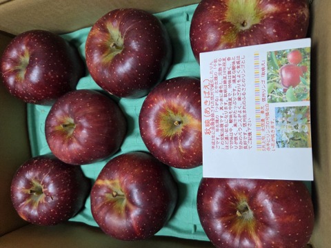 秋映　あきばえ  濃い味林檎　ご好評販売中　 訳あり　家庭専用　3キロコース　　 長野県ならでは第1弾(冷蔵貯蔵分）