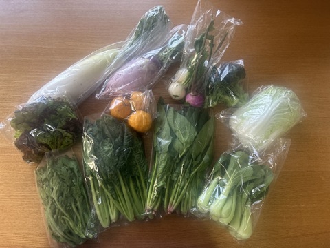 旬の野菜セット！ 80サイズの箱に10種類程度のお野菜詰め合わせ