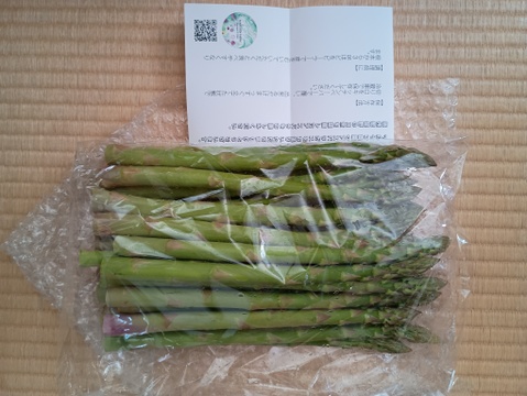 信州安曇野産　春芽アスパラガス　Lサイズ１kg