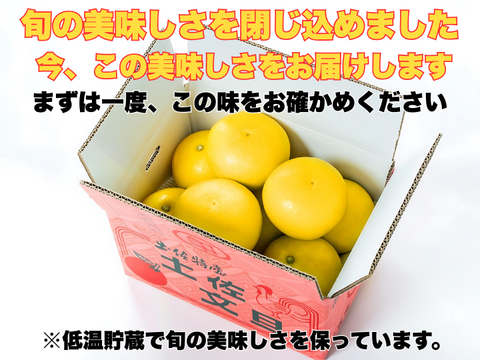 【完熟の証】低温貯蔵 土佐文旦 訳あり大玉5kg｜風味が際立つ食べ頃・日本ギフト大賞受賞・文旦発祥の地 ・高知県土佐市産 ・やの一果彩