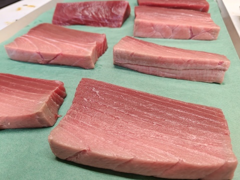 【天然】天然本マグロ/中トロ/切り分け急速冷凍/240ｇ前後【冷凍】【原体170kg】