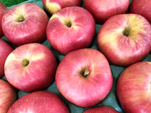小玉りんご「ひめかみ（姫神）」特別栽培認証りんご5キロ
