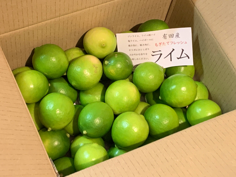 小さいライム　１．８ｋｇ