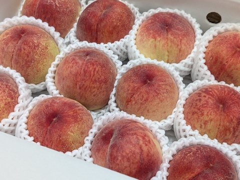 桃名人厳選　桃【ご家庭用　訳あり商品】白桃約3ｋｇ(8-12玉）