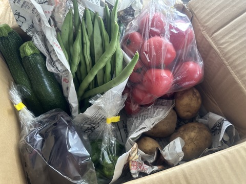 中玉トマトたっぷり🍅【夏ギフト】自然栽培の手渡したくなるお任せ野菜SET（Mサイズ）