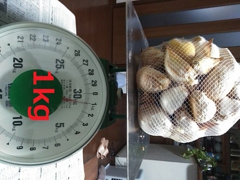 にんにく 皮やぶれ＆バラ粒ふぞろい *1kg