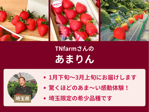 【売り切れ】 【限定200セット】感動の美味しさ！とっておき果実便※あまりん1月下旬〜2月中旬お届け（食べチョク公式）