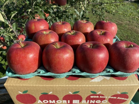果汁たっぷり！青森県産『シナノスイート 』🍎家庭用3㎏(8玉～12玉)【収穫間近！】
