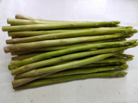 シャキシャキ！さぬきのめざめ秀品Lサイズ夏芽１㎏