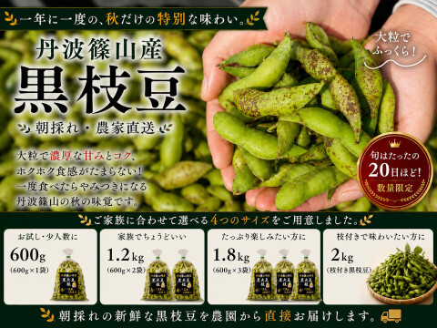 丹波篠山 黒枝豆 1.8kg( 600g × 3袋 ) 【令和7年新豆・予約販売】 産地