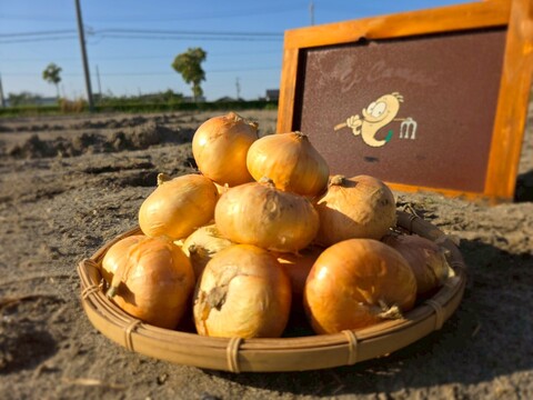 採れたて砂付き！静岡県浜松市産　玉葱 3kg