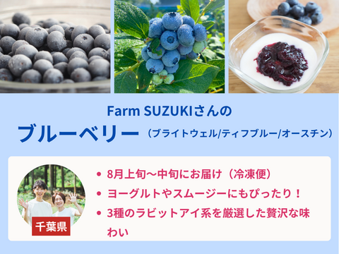 【販売終了】【限定100セット】夏の手しごと便　ブルーベリーといちじく（食べチョク公式）