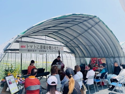 音楽を聴いて育った 宝石箱のような！夏秋ミニトマト2段詰め【80～110